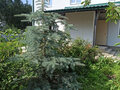 Продажа коттеджей: с. Курганово, ул. Ленина, 45 (городской округ Полевской) - Фото 1