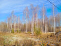 Продажа земельного участка: Екатеринбург, ул. Созвездие Премиум - Фото 1