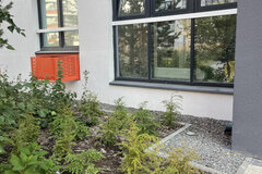 Екатеринбург, ул. Золотистый, 7 (Солнечный) - фото квартиры