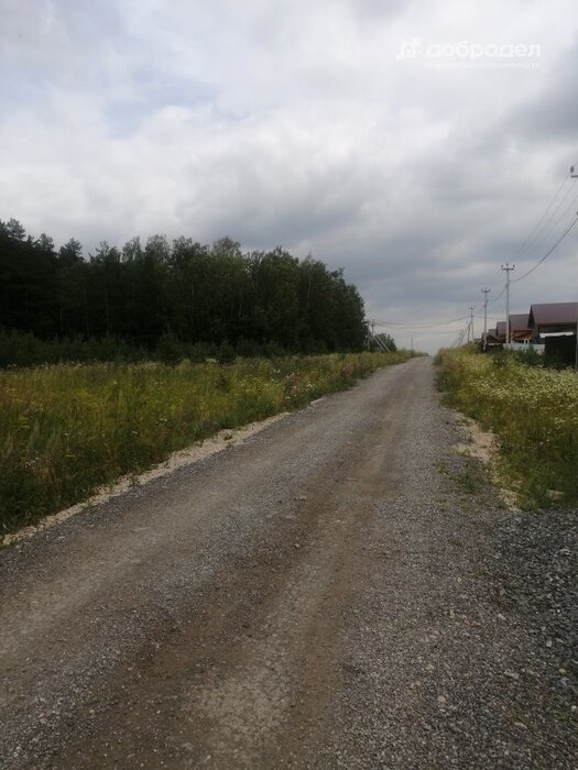 д. Гусева (городской округ Белоярский) - фото земельного участка (2)