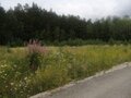 Продажа земельного участка: д. Гусева (городской округ Белоярский) - Фото 3