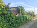 Продажа садового участка: г. Ревда, Мечта -2  (городской округ Ревда) - Фото 2