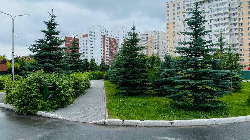 Екатеринбург, ул. Ясная, 31 (Юго-Западный) - фото квартиры (1)