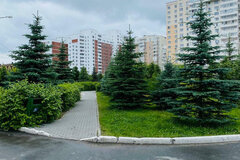 Екатеринбург, ул. Ясная, 31 (Юго-Западный) - фото квартиры