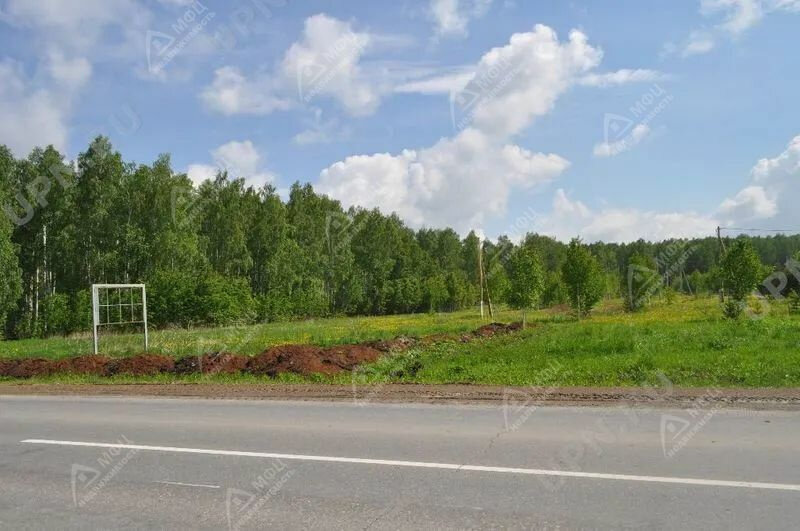 п. Колюткино (городской округ Белоярский) - фото земельного участка (1)