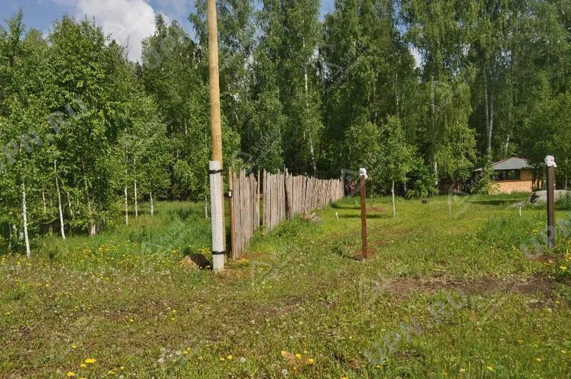 п. Колюткино (городской округ Белоярский) - фото земельного участка (2)