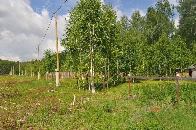 п. Колюткино (городской округ Белоярский) - фото земельного участка (6)
