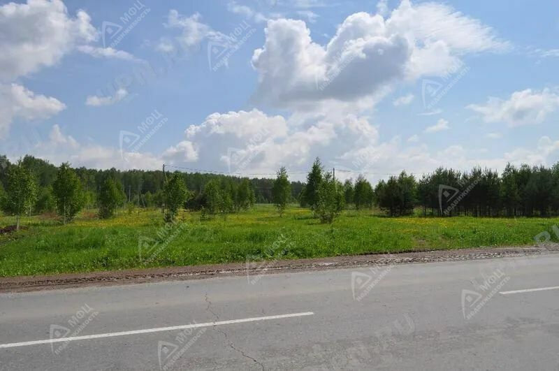 п. Колюткино (городской округ Белоярский) - фото земельного участка (7)