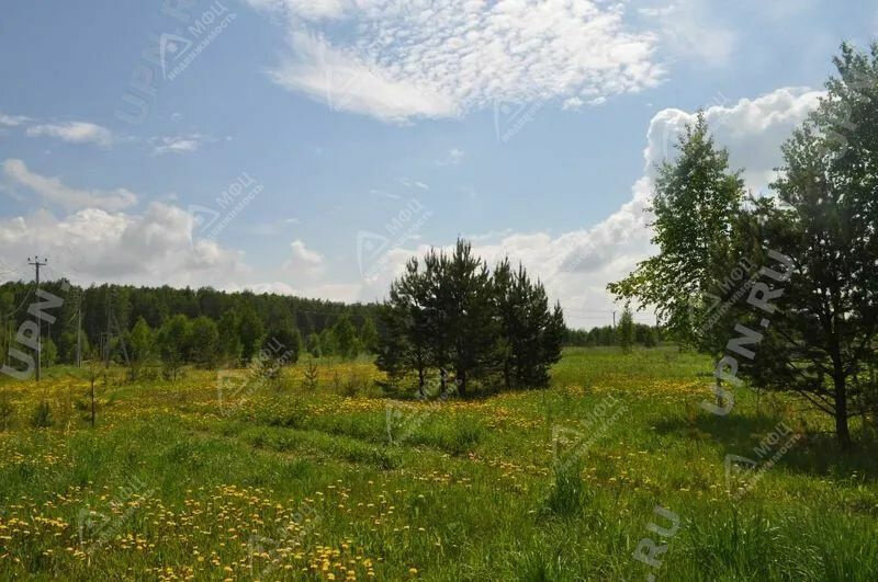 п. Колюткино (городской округ Белоярский) - фото земельного участка (8)