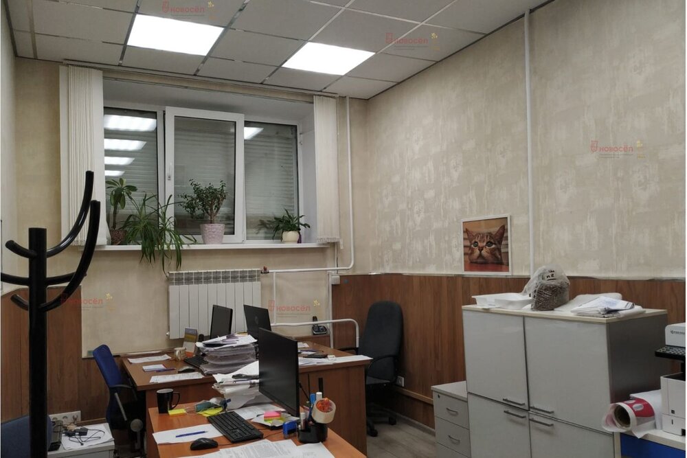 Екатеринбург, ул. Сулимова, 61 (Пионерский) - фото офисного помещения (4)