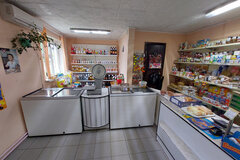 г. Нижние Серги, ул. Розы Люксембург, 94 (Нижнесергинский район) - фото торговой площади