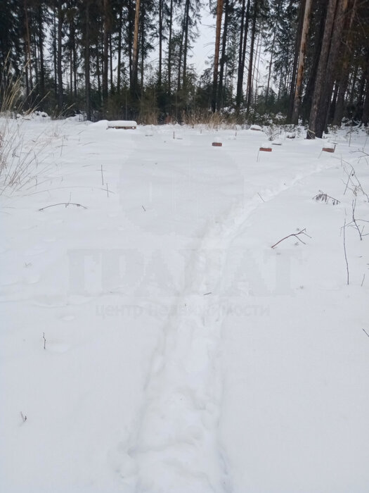 г. Ревда, ул. Зимняя, 38 (городской округ Ревда) - фото земельного участка (1)
