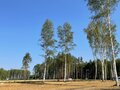 Продажа земельного участка: к.п. Заповедник, ул. Аист, 46 (городской округ Сысертский, п. Габиевский) - Фото 1
