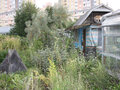 Продажа садового участка: Екатеринбург, СНТ ССХИ (Пионерский) - Фото 1