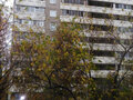 Продажа квартиры: Екатеринбург, ул. Волгоградская, 182а (Юго-Западный) - Фото 1