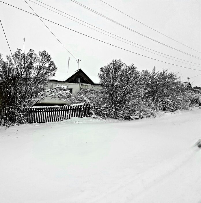 д. Юдина, ул. Белькова, 7 (городской округ Пышминский) - фото дома (3)