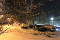 Екатеринбург, ул. Викулова, 34/1 (ВИЗ) - фото квартиры