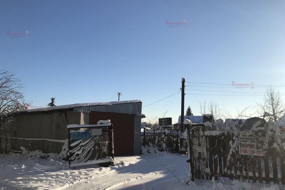 г. Березовский, СТ №104 Нива, уч. 1 (городской округ Березовский) - фото сада (1)