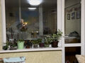 Продажа квартиры: Екатеринбург, ул. Техническая, 47 (Старая Сортировка) - Фото 2