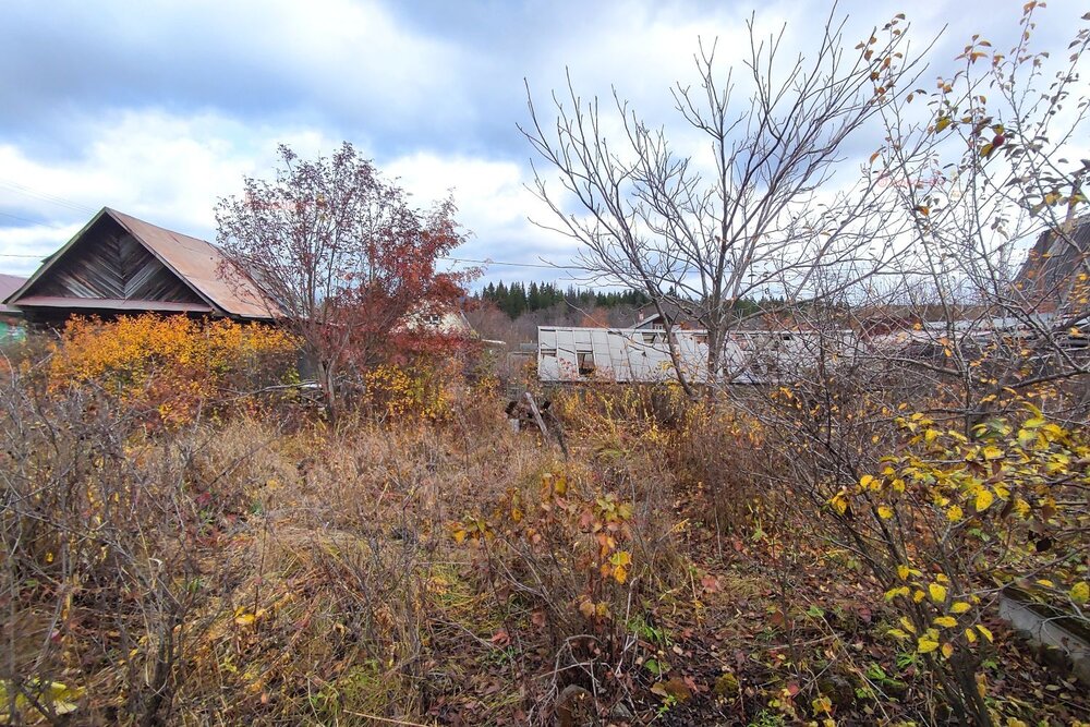 г. Ревда, СНТ Автомобилист (городской округ Ревда) - фото сада (5)