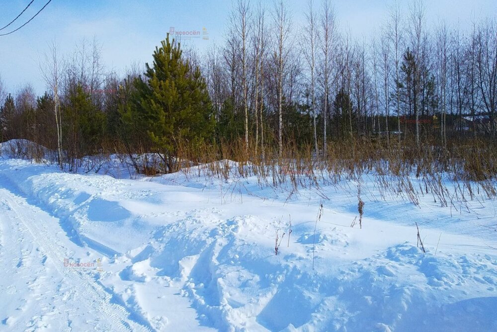 с. Курганово, ул. 8 Марта, 13Б (городской округ Полевской) - фото земельного участка (5)