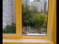 Продажа квартиры: Екатеринбург, ул. Тверитина, 19 (Парковый) - Фото 4
