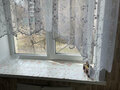 Продажа квартиры: Екатеринбург, ул. Трактористов, 9 (Автовокзал) - Фото 2