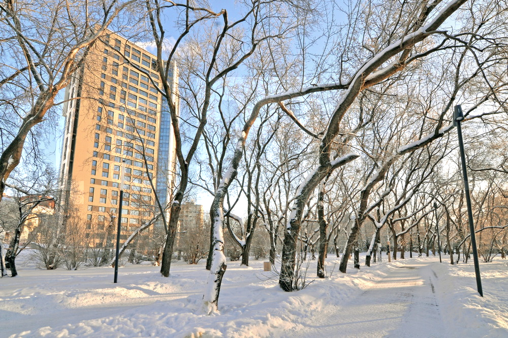 Екатеринбург, ул. Гаринский, 3 (ВИЗ) - фото квартиры (4)