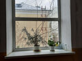 Продажа квартиры: Екатеринбург, ул. Блюхера, 18 (Втузгородок) - Фото 3