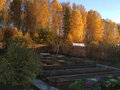 Продажа садового участка: поселок городского типа Белоярский, ул. Гагарина, 32 (городской округ Белоярский) - Фото 4