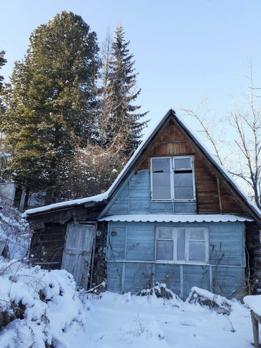г. Нижний Тагил, СНТ имени Тимирязева (городской округ Нижний Тагил) - фото сада (1)