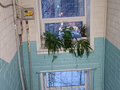 Продажа квартиры: Екатеринбург, ул. Комсомольская, 4б (Втузгородок) - Фото 7