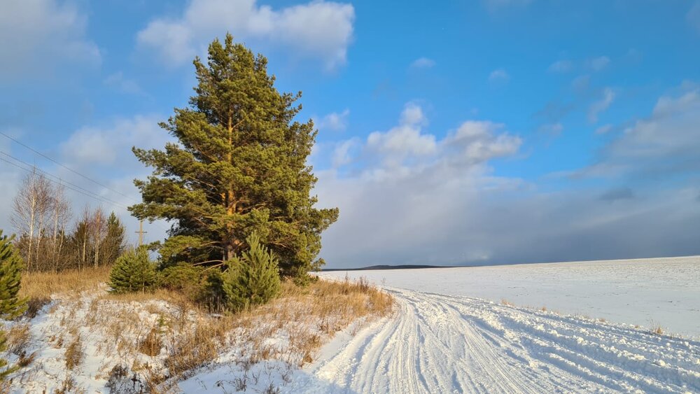 г. Арамиль, ул. Аметистовая, 9 (городской округ Арамильский) - фото земельного участка (1)