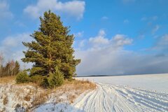 г. Арамиль, ул. Аметистовая, 9 (городской округ Арамильский) - фото земельного участка