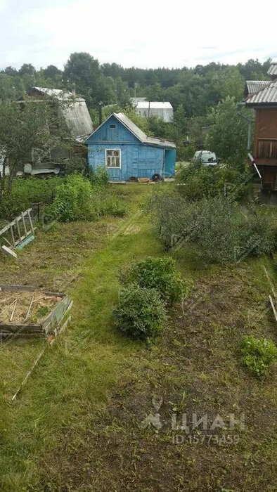 г. Березовский, коллективный сад №38, уч. 29 (городской округ Березовский) - фото сада (1)