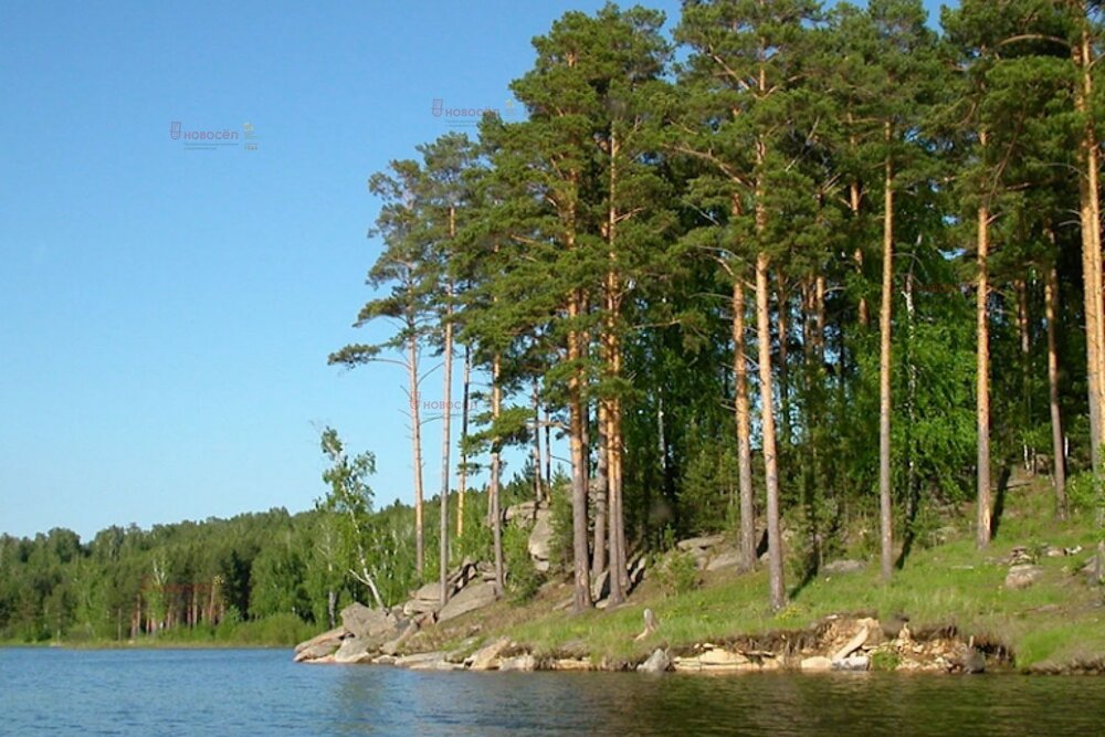 п. Краснояр (городской округ Ревда) - фото земельного участка (6)