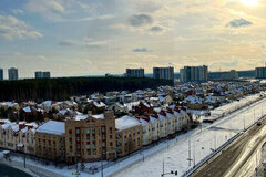 Екатеринбург, ул. Чкалова, 242 (УНЦ) - фото квартиры