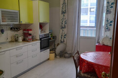 Екатеринбург, ул. Павла Шаманова, 44 (Академический) - фото квартиры