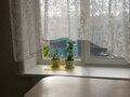 Продажа квартиры: Екатеринбург, ул. Просторная, 85 (Уктус) - Фото 3