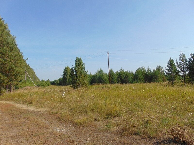 оз. Кисегач (Каслинский район) - фото земельного участка (1)