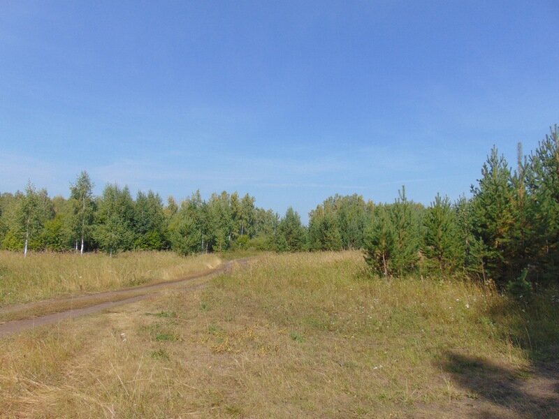 оз. Кисегач (Каслинский район) - фото земельного участка (4)