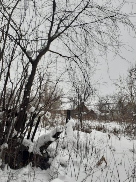 г. Нижний Тагил, СНТ Трест Тагилстрой, уч. 1 (городской округ Нижний Тагил) - фото сада (1)
