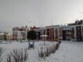 Продажа квартиры: Екатеринбург, ул. Карасьевская, 36 (Широкая речка) - Фото 2