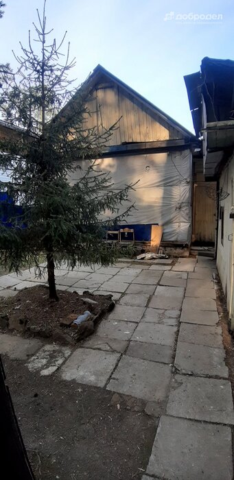 г. Березовский, № 37, уч. 23 (городской округ Березовский) - фото сада (1)
