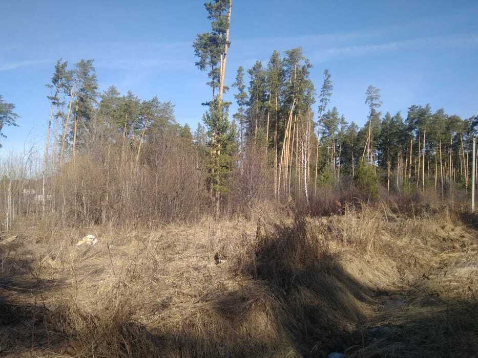 Екатеринбург, ул. Чистый Ключ, 14 (Кольцово) - фото земельного участка (1)