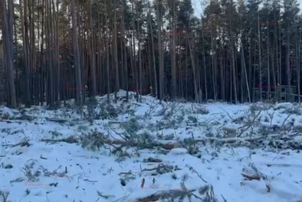 г. Березовский, ул. тер. Белоярская зона отдыха, 2-й проезд (городской округ Березовский) - фото земельного участка (1)