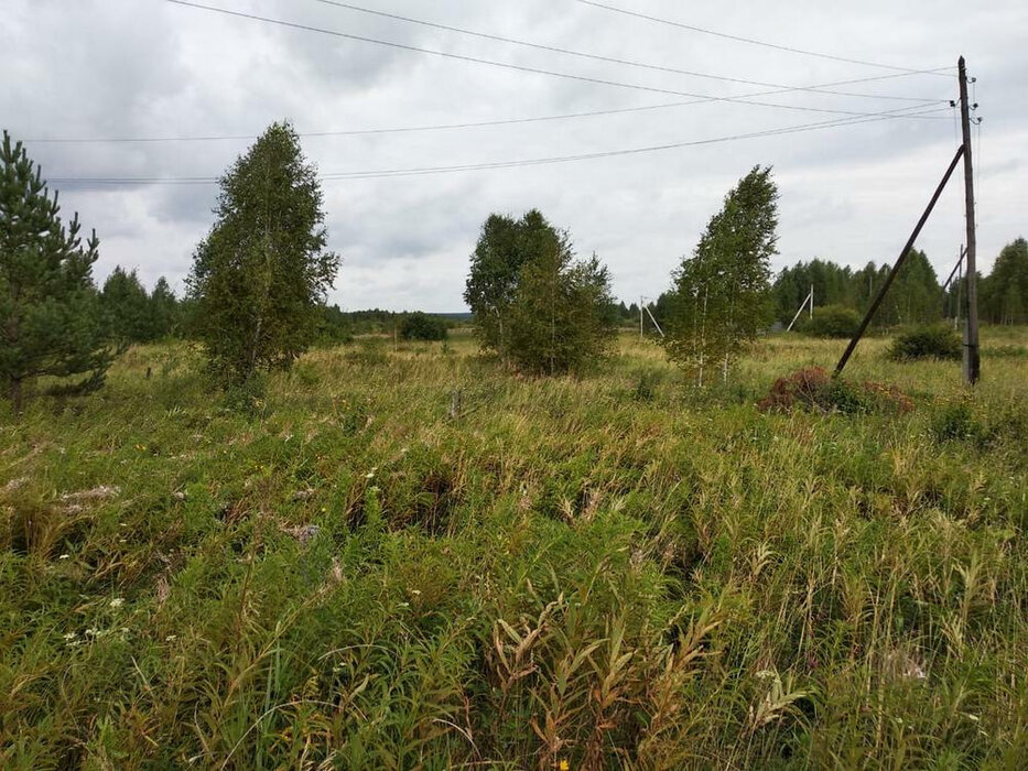 п. Белоярская Застава, ул. Рябиновый, 1 (городской округ Белоярский) - фото земельного участка (1)