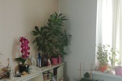 Екатеринбург, ул. Черепанова, 8 (Заречный) - фото квартиры