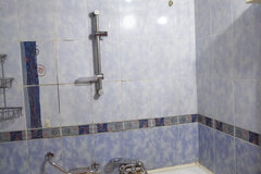 Екатеринбург, ул. Родонитовая, 3/2 (Ботанический) - фото квартиры