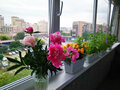 Продажа квартиры: Екатеринбург, ул. Викулова, 28а (ВИЗ) - Фото 1